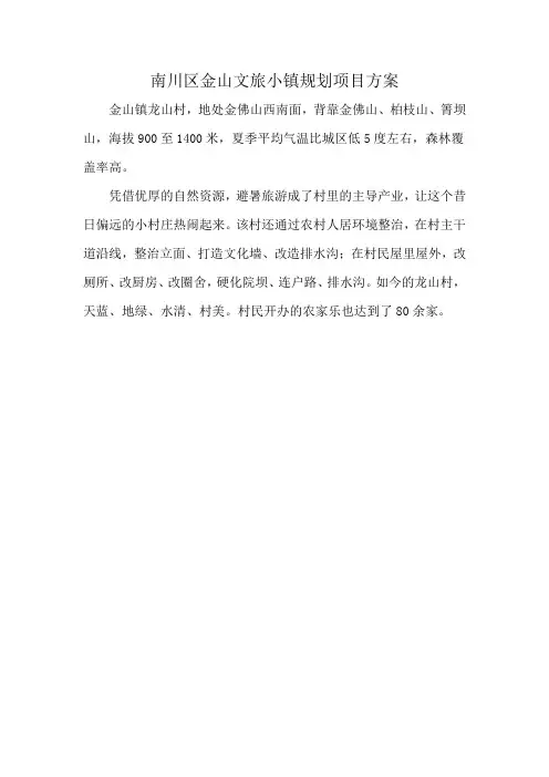 南川区金山文旅小镇规划项目方案