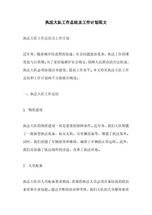 执法大队工作总结及工作计划范文