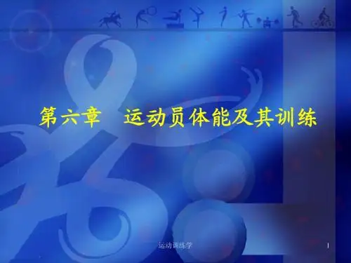 运动训练学5