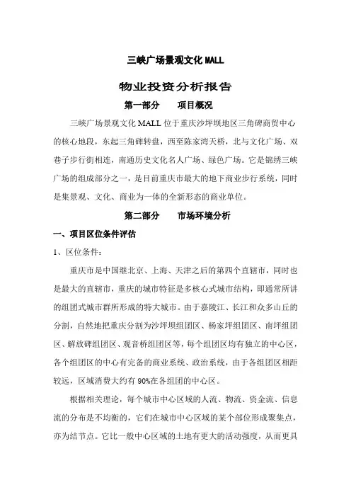 广场景观文化MALL物业投资分析报告