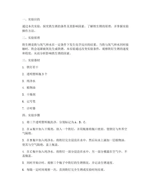制作铁生锈实验报告