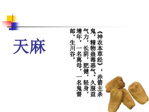 天麻·ppt