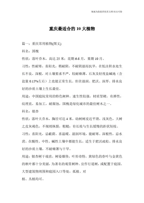 重庆最适合的10大植物