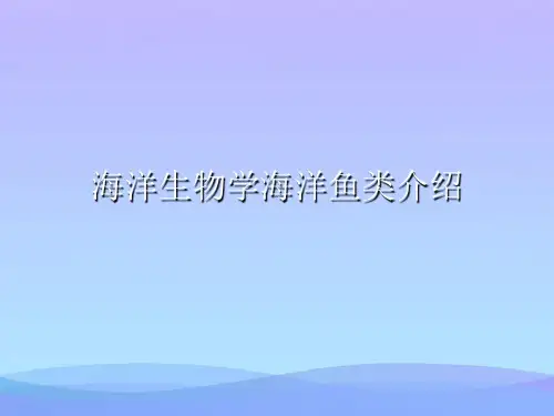 海洋生物学海洋鱼类介绍(精品资料)PPT