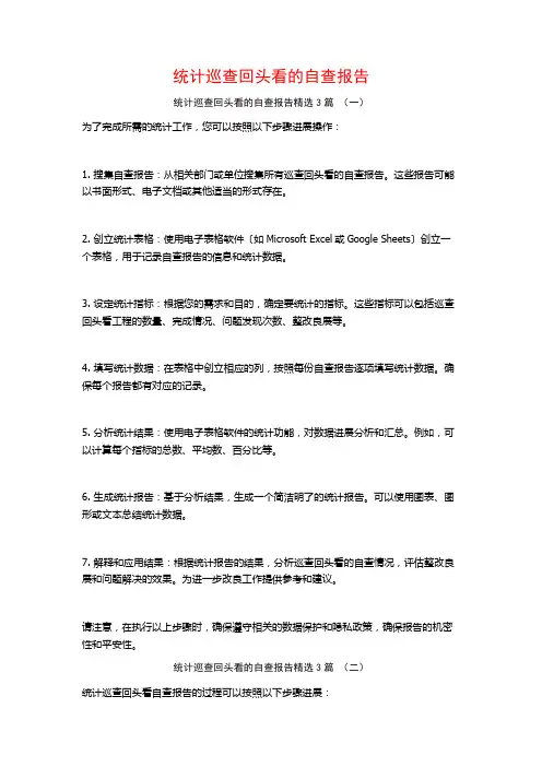 统计巡查回头看的自查报告3篇