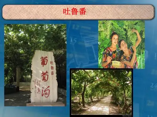 【初中历史】汉通西域和丝绸之路ppt7 人教版