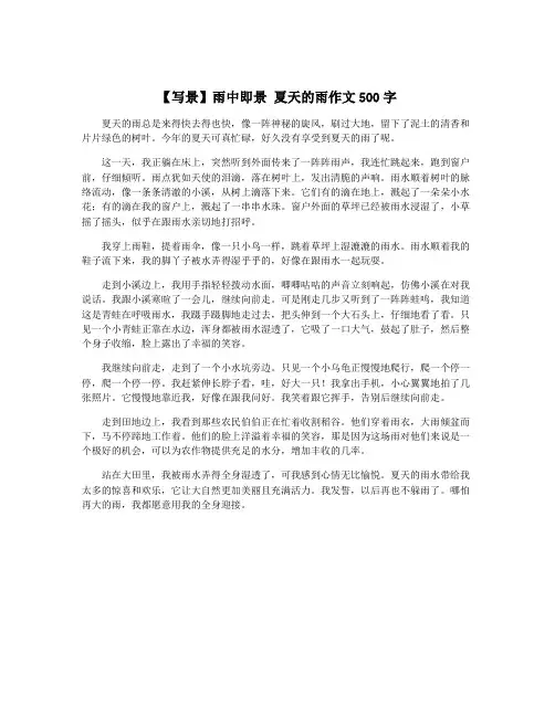 【写景】雨中即景 夏天的雨作文500字