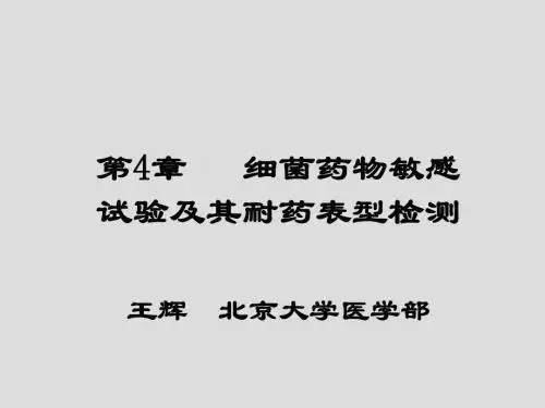 第4章 细菌药敏试验及其耐药表型检测