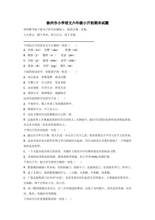 徐州市小学语文六年级小升初期末试题