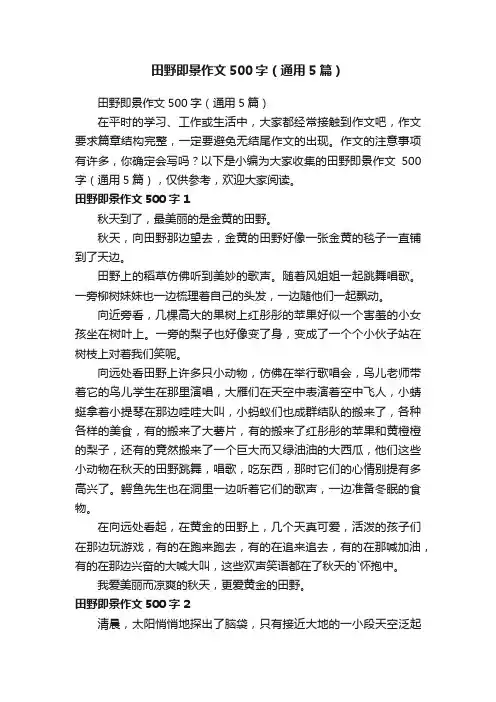田野即景作文500字（通用5篇）