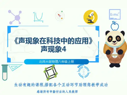 北师大版物理八年级上册《声现象在科技中的应用》声现象4