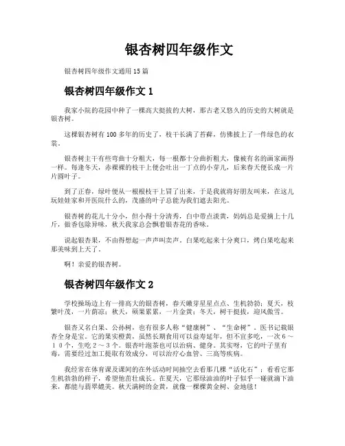 银杏树四年级作文