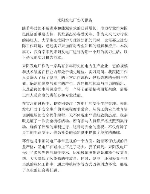 耒阳发电厂实习报告