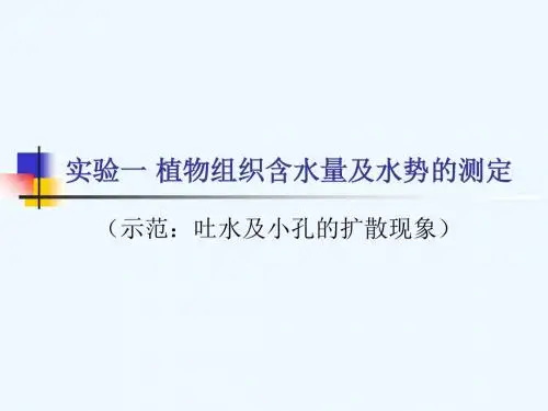 实验一植物组织含水量及水势的测定