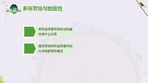 3.3.23.3.2多环芳烃与致癌性课件