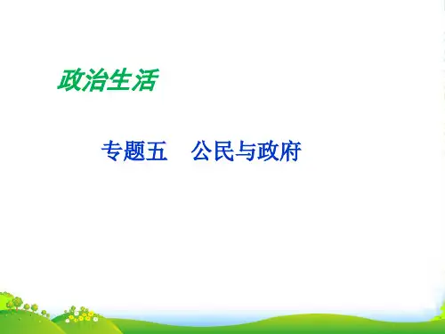高三政治二轮复习 第二部分专题五公民与政府1课件 新人教