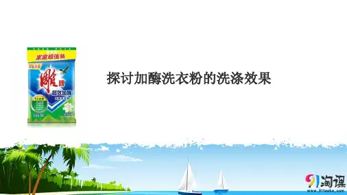 课件11：4.2 探讨加酶洗衣粉的洗涤效果