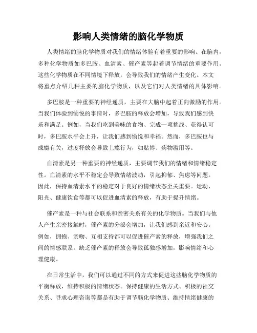 影响人类情绪的脑化学物质