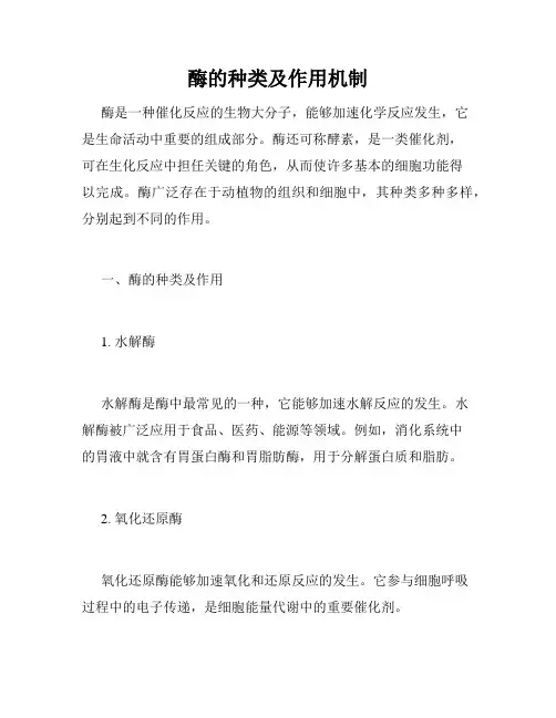 酶的种类及作用机制