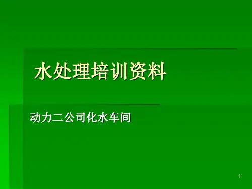 幻灯片水处理培训资料