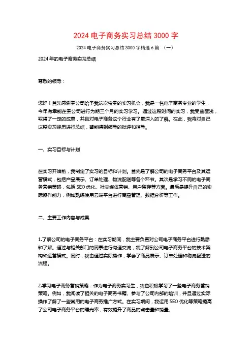 2024电子商务实习总结3000字6篇