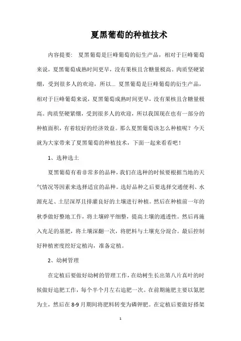 夏黑葡萄的种植技术