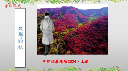4.1《故都的秋》课件