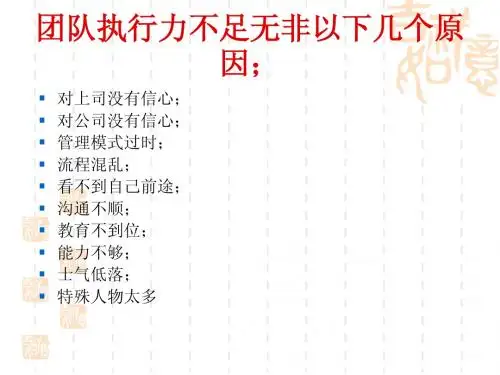(团队执行力)