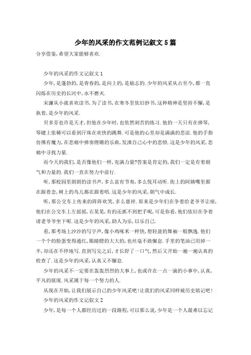 少年的风采的作文范例记叙文5篇