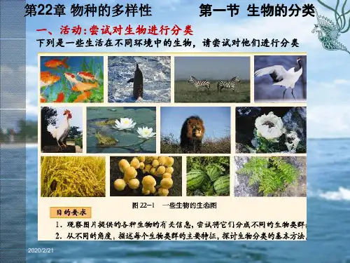 生物八年级下北师大版22.1生物的分类课件 (12张)