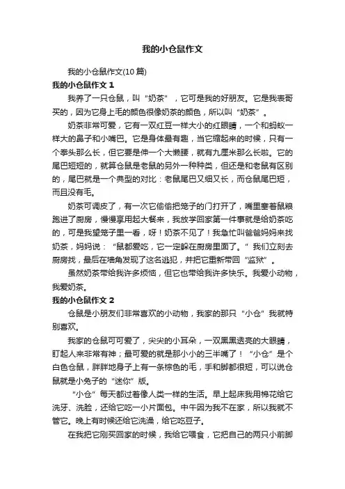 我的小仓鼠作文