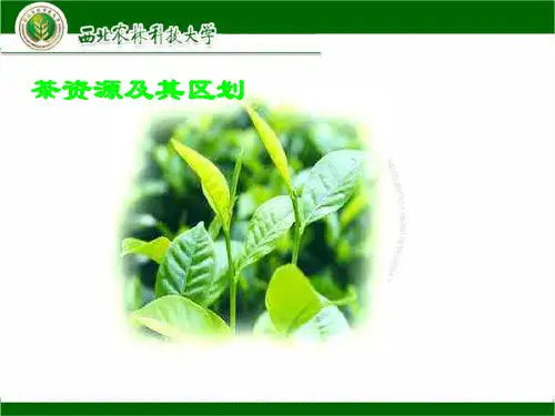 我国茶资源与区划