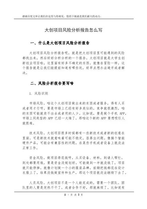 大创项目风险分析报告怎么写