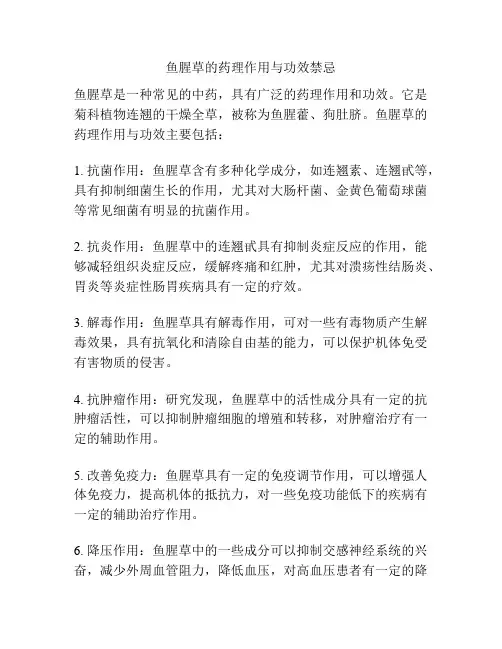 鱼腥草的药理作用与功效禁忌