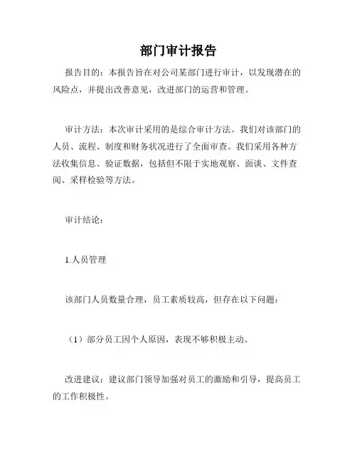 部门审计报告
