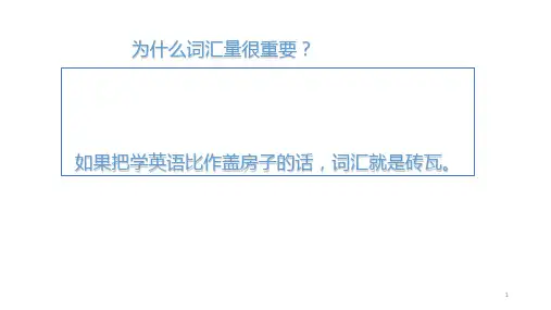 思维导图快速背单词(课件)-英语六年级下册