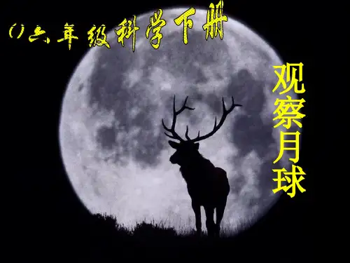观察月相(鄂教版六年级下册)