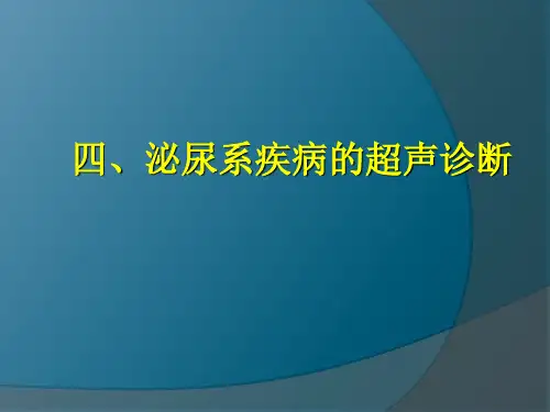 泌尿系疾病的超声诊断-精选文档