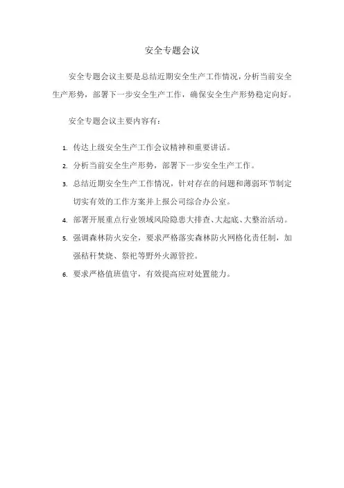 安全专题会议
