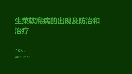 生菜软腐病的出现及防治和治疗
