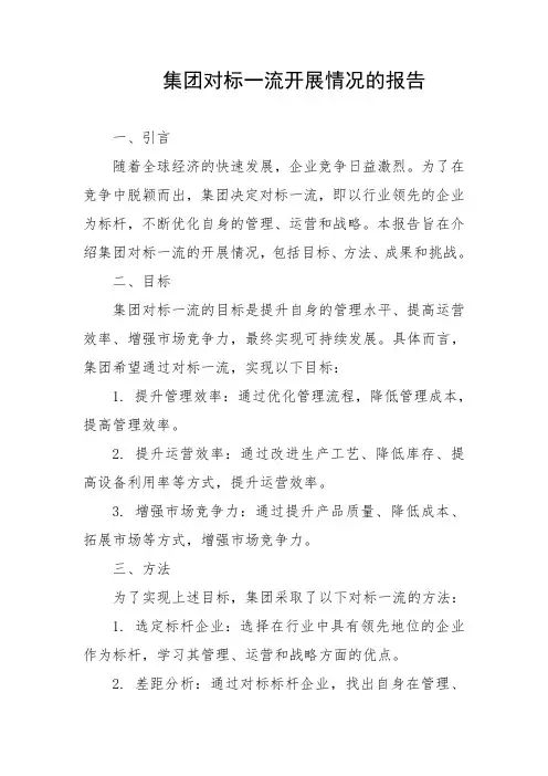 集团对标一流开展情况的报告