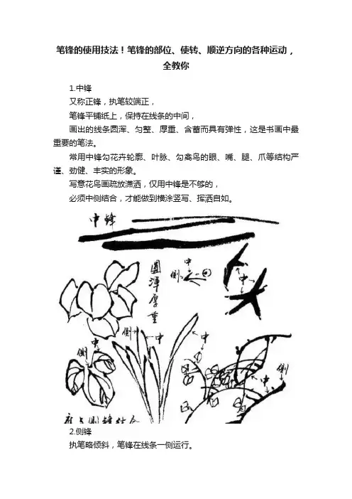 笔锋的使用技法！笔锋的部位、使转、顺逆方向的各种运动，全教你