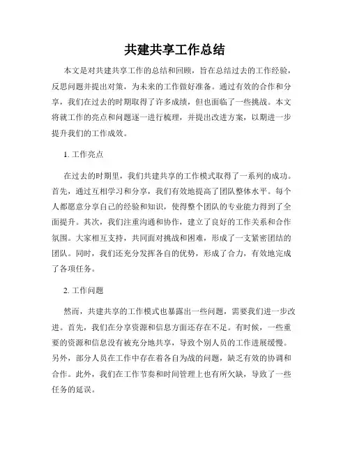 共建共享工作总结