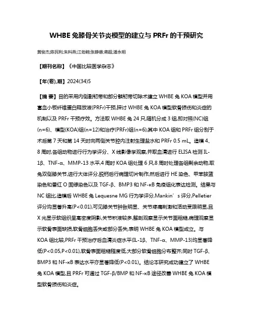 WHBE兔膝骨关节炎模型的建立与PRFr的干预研究