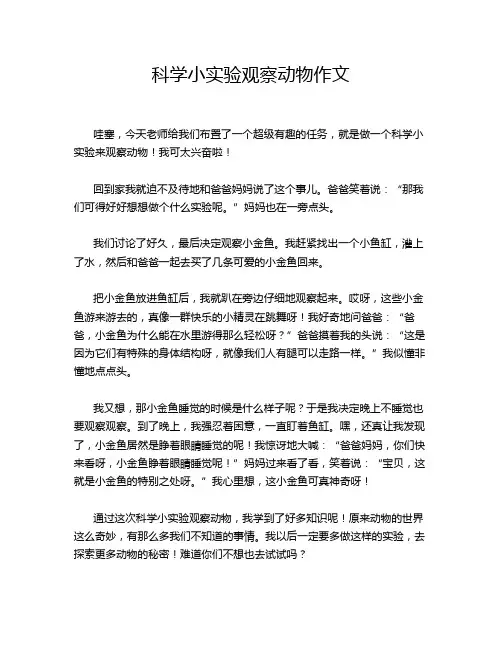 科学小实验观察动物作文