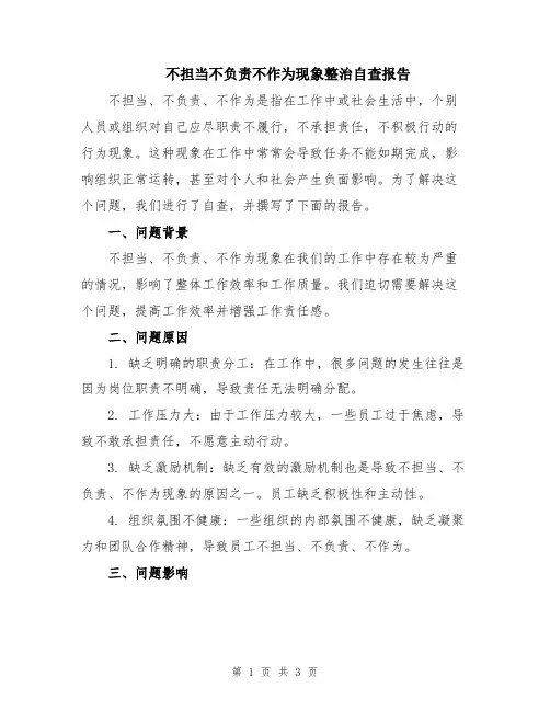 不担当不负责不作为现象整治自查报告