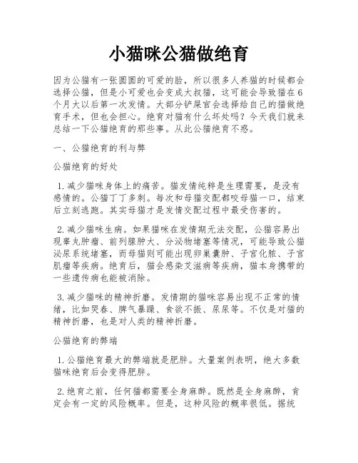 小猫咪公猫做绝育