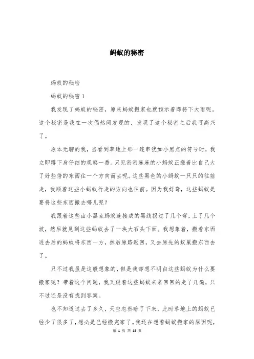 蚂蚁的秘密