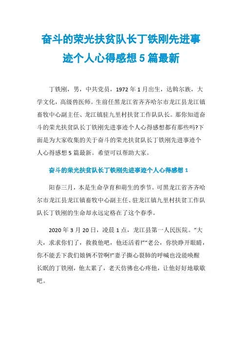 奋斗的荣光扶贫队长丁铁刚先进事迹个人心得感想5篇最新