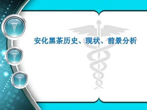 安化黑茶现状及前景分析 PPT